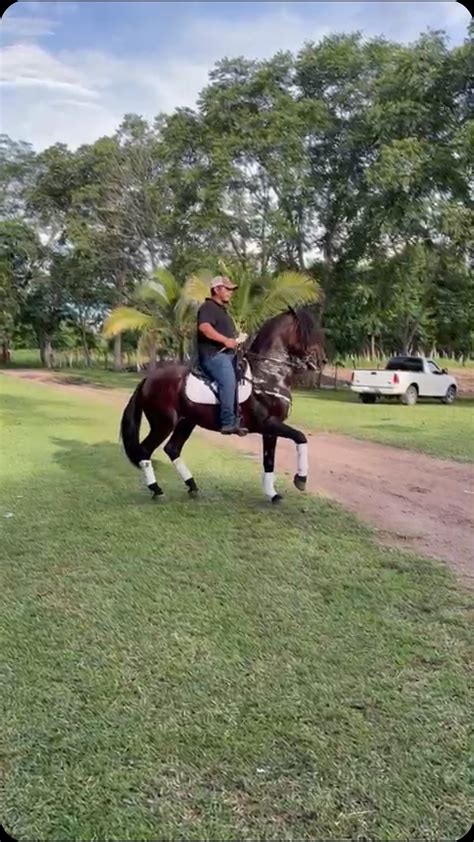 Rancho Buena Suerte (@ranchobuenasuerte) .